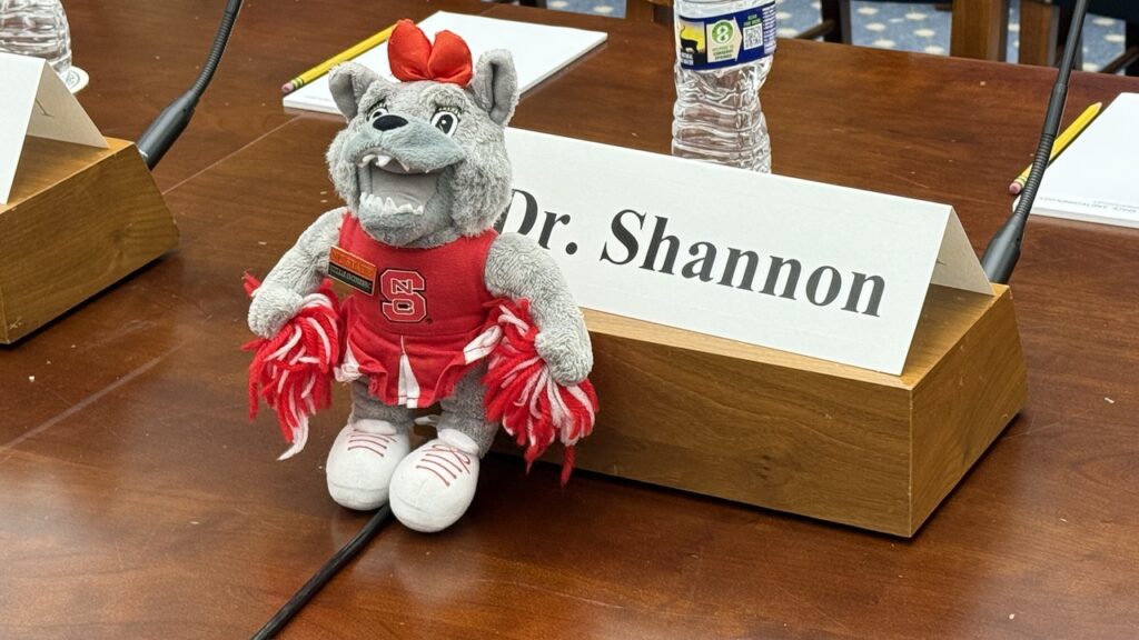 A small Mr. Wuf mascot stuffed animal sitting on a conference table.